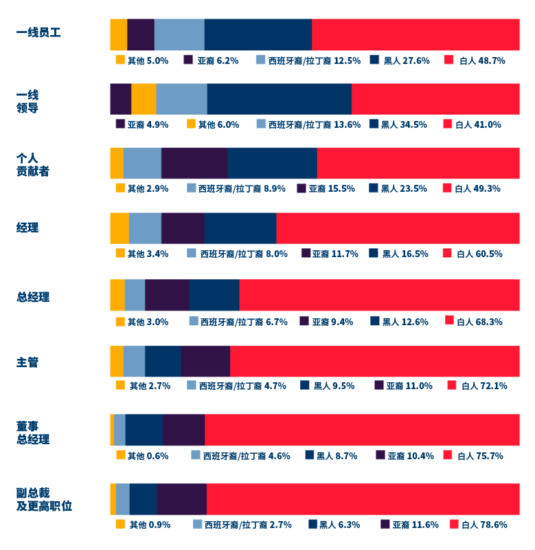 按级别划分的员工种族图表